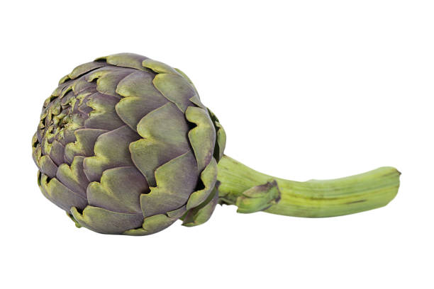 artichoke isolated on a white, winter vegetables