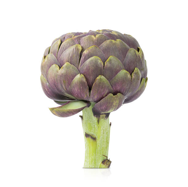 istock An artichoke isolated on a white background 2155810722