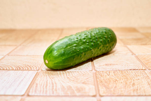 Slice of cucumber backlit