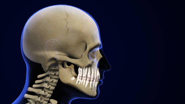 istock Concept of wisdom teeth pain 2155813649