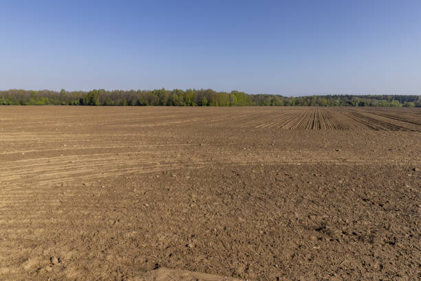 istock preparing the soil for sowing in spring 2155817117