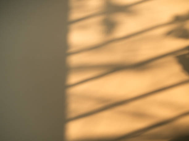 Summer Orange Background Shadow Texture Leaf Summer Autumn Wall Light Abstract Floor Wall Window Orange Brown Tree pastel Gradient Two Tone Bright Color Paper Stone, Orange Backdrop Frame Template.