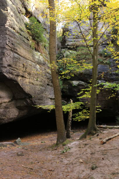 istock Impressions from Saxon Switzerland 2155817863