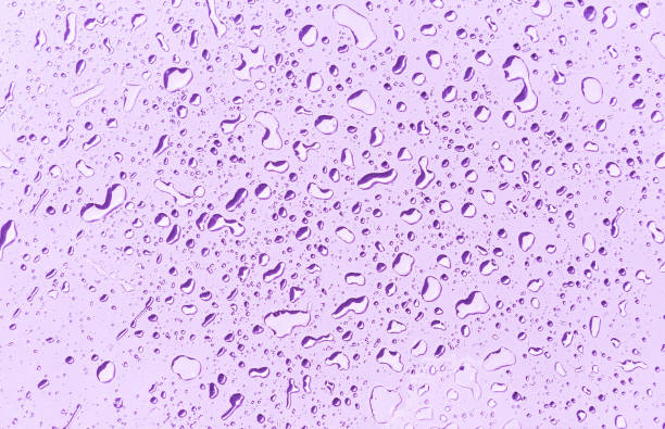 istock Water drops on purple background 2155819822
