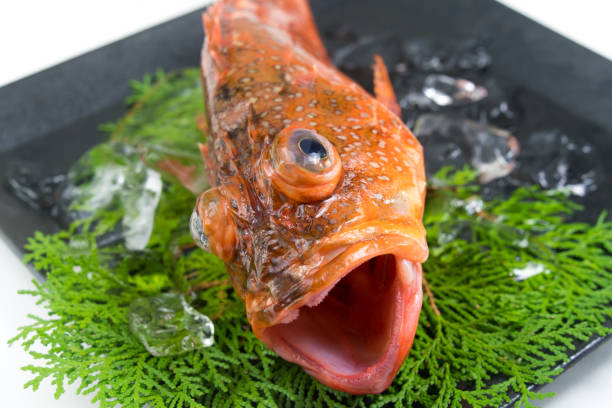 istock Fresh scorpionfish on a black plate 2155819835