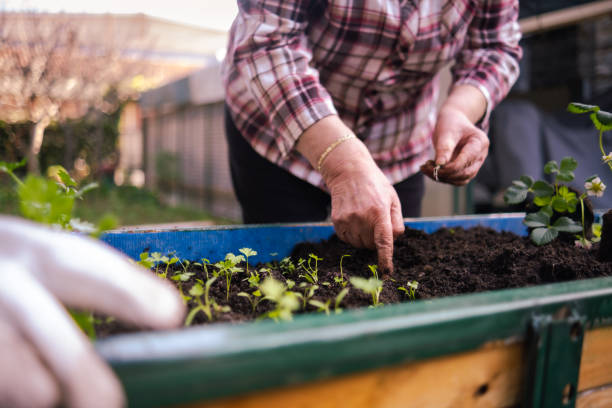 istock Don't be afraid to use your fingers to garden sometimes 2155826691