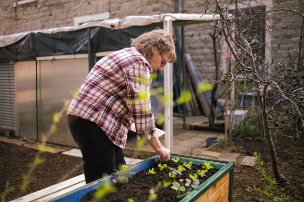 istock Who said elders can't be sustainable while gardening? 2155826874