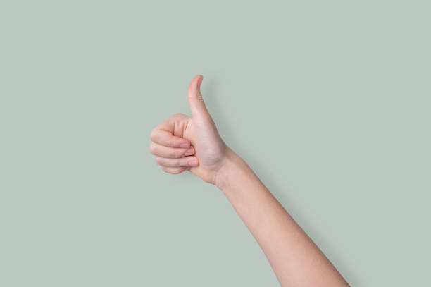 istock Hand shows thumb up on a light green background. Sign language concept ok. 2155827142