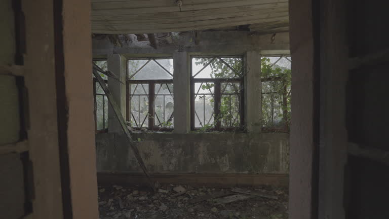 Abandoned corridor with vegetation