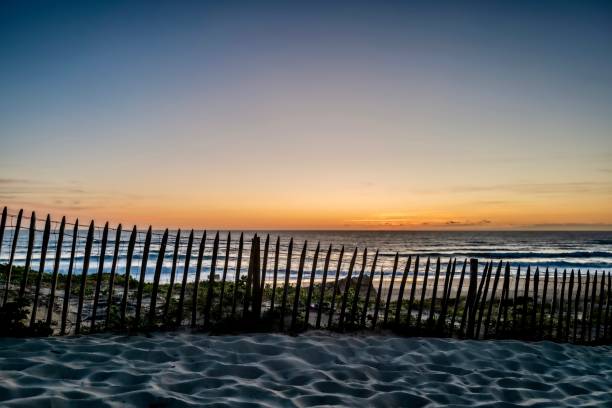 Fence in the dunes with sunset on the beach of Capbreton in France