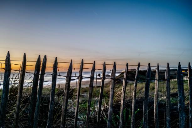 Fence in the dunes with sunset on the beach of Capbreton in France