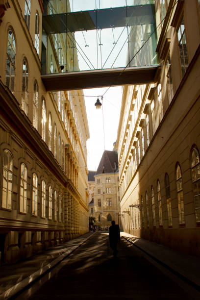Last afternoon sun illuminating Leopold Figl Gasse, with it's skybridge between the ancient houses