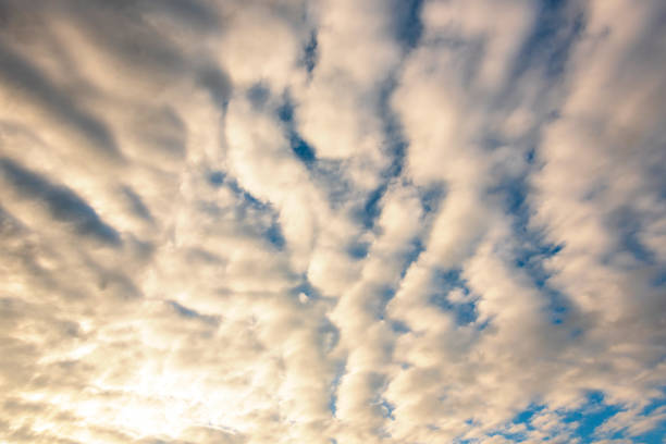 Tropical summer blue sky fluffy white cloud summertime on light sunny day cloudscape. Clear bright blue skyline spring sunlight climate background. Heaven blue environment ecology high scenic nature.