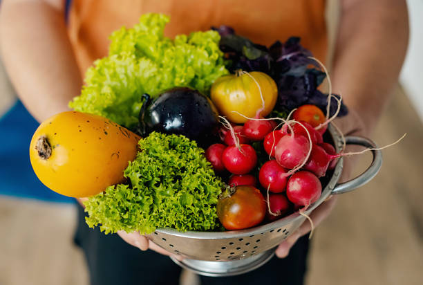 istock Organic vegetables. Farmers hands with freshly harvested vegetables. 2155849734