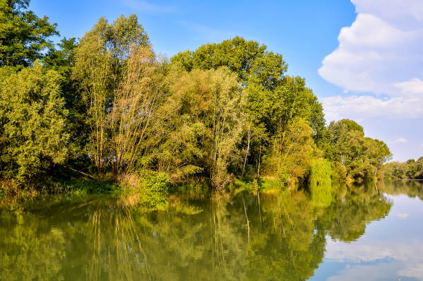 istock A body of water with trees on the shore 2155851241