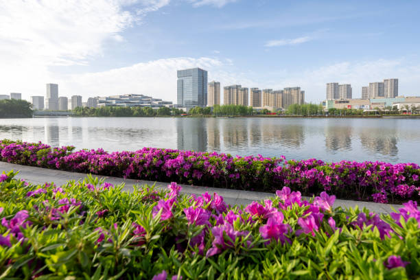 Urban buildings by the lake in the morning park in Ningbo, Zhejiang Province, China