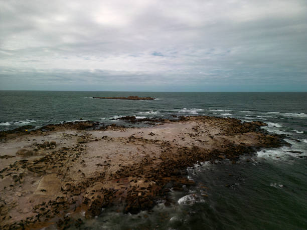 Colony of sea lions on an islet in front of Cabo Polonio in Uruguay