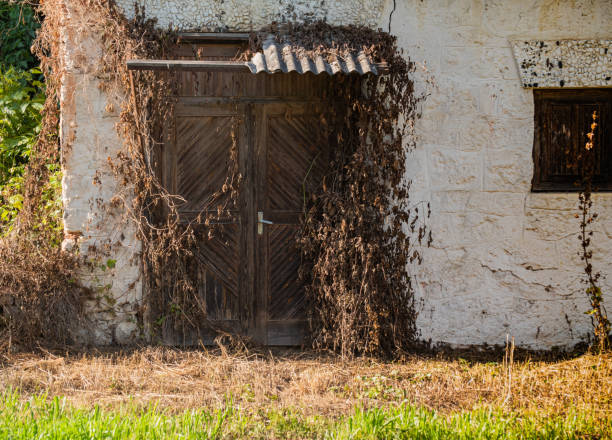 A rather worn and weather-beaten door, with old fashion iron hinges.