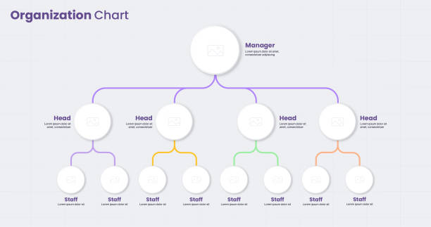 Organization chart infographic design template for corporate hierarchy concept Organization chart infographic design template for corporate hierarchy concept organizational structure stock illustrations