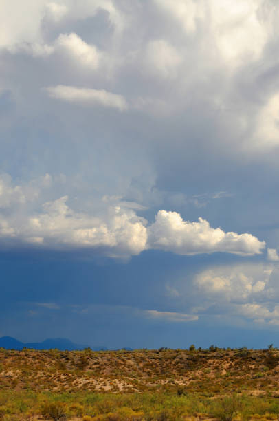 istock Central Sonora Desert Arizona 2155857315