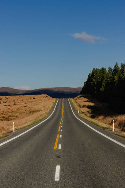 istock Serene Asphalt Road through Golden Countryside 2155861349