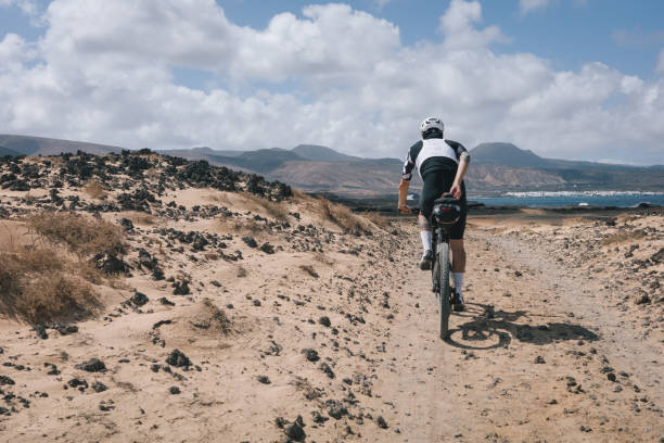 istock Road bicyclist rides through rural landscape 2155866918