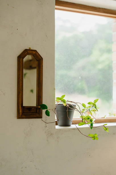 istock Wooden framed window with small plant on sill 2155866924
