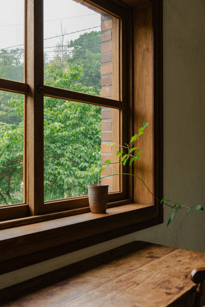 istock Potted plant on window sill with outdoor view 2155866938