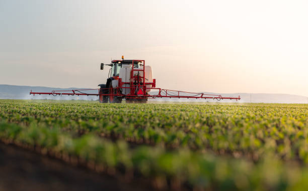 istock Tractor spraying soybean crops field 2155868315