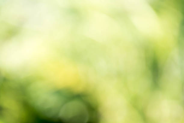 istock green nature bokeh background 2155868665