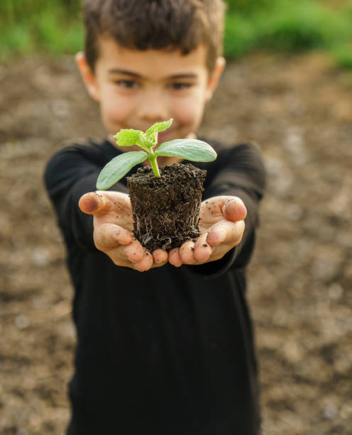 Little boy holding cucumber seed