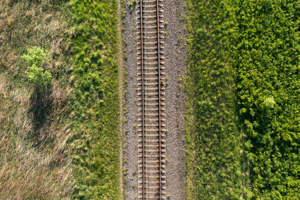 istock Railway through summer forest. Aerial view 2155871445