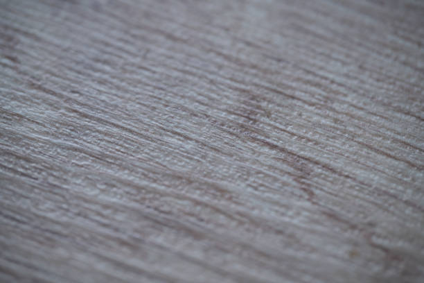 Old wooden texture - wood timber background. Horizontal image.
