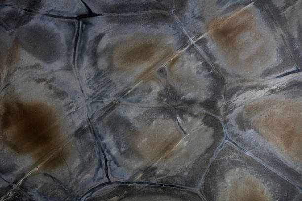 istock Turtle Quartzite background in your admirable grey color. 2155873170