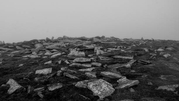 The slabs of rock scattered on the mountain side, looking almost intentionally arranged this way.