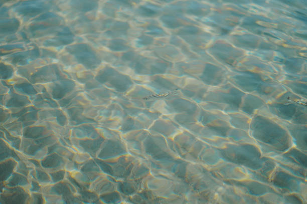 The shallow water near the beach on a sunny day