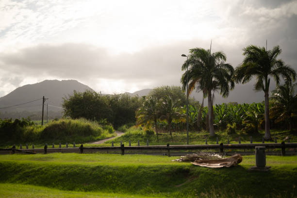Spacious grassy park with trees and mountains in the backdrop