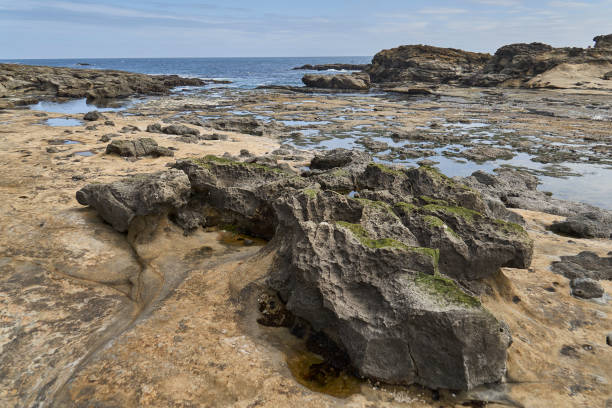 istock Unique botanical beach with a large rock leading the eye towards the tidal pools and distant ocean. 2155876100