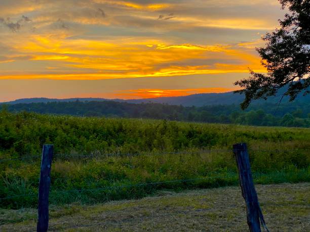 istock Sun setting behind a fence in a field 2155876167