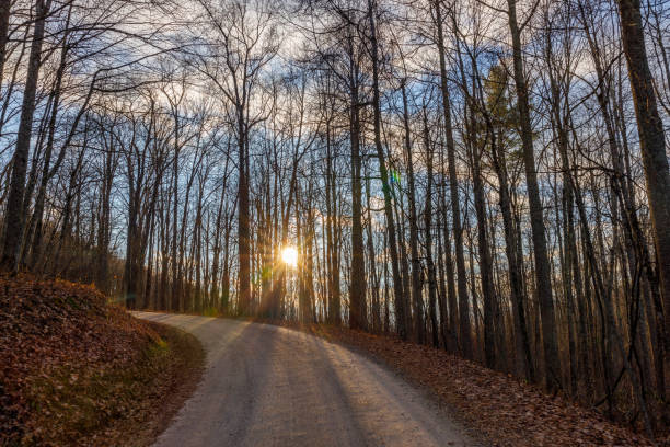 istock Rural road winding through a wooded area 2155876216