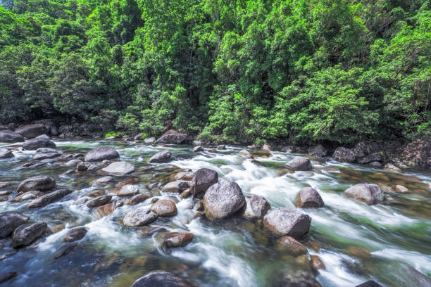 istock Waterscape landscape in Mossman Gorge, Queensland, Australia 2155876298