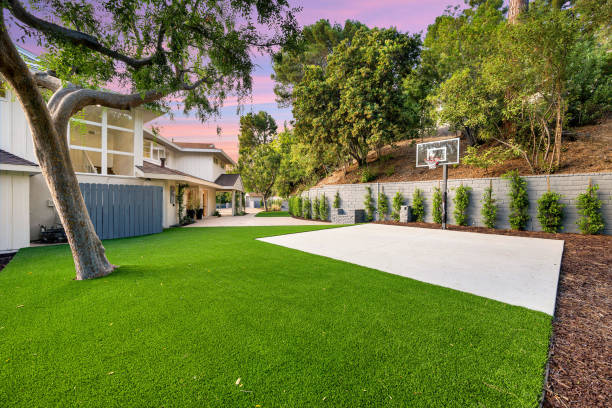 istock Remodeled Los Angeles home yard with lush trees 2155877115