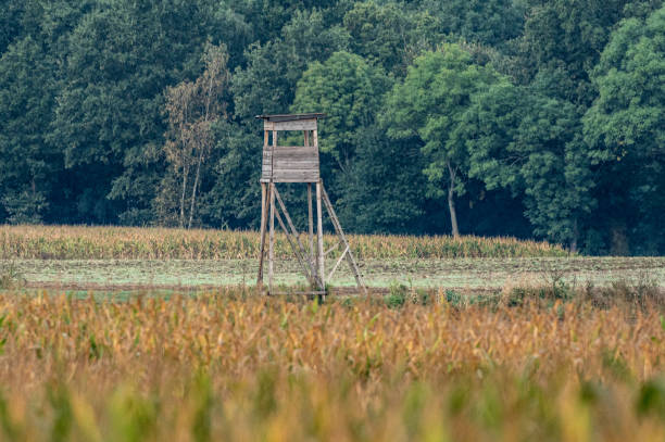 A tall wooden tower in a green field