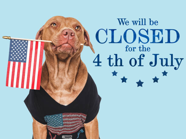 istock Signboard with the inscription We will be closed 2155879310