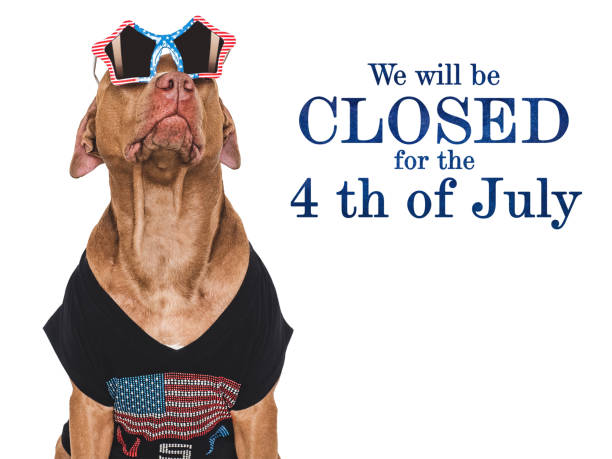 istock Signboard with the inscription We will be closed 2155881147