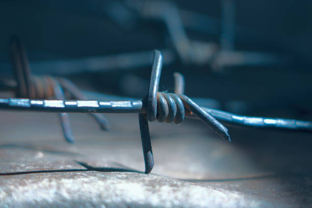 Close up ancient barbed wire as a symbol of imprisonment, imprisonment and repression. Horizontal image.