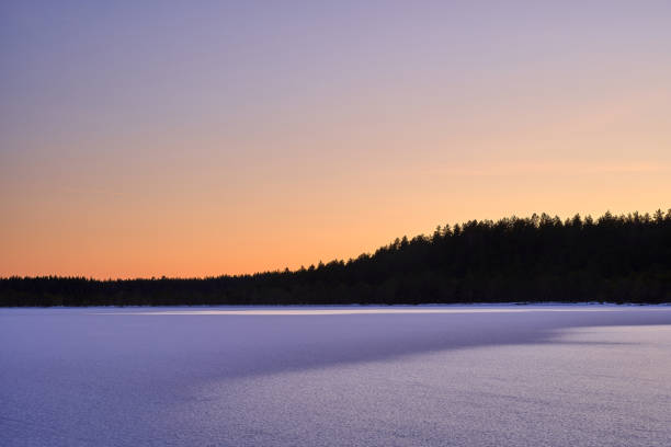 A vibrant blue sunset over the water with evergreen trees.