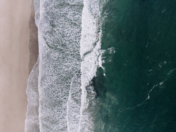 istock Aerial view of waves breaking on the coastline 2155883776