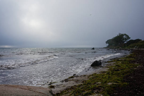 istock Scenic beach at Staberhuk cliffs, Fehmarn Island, Baltic Sea, Germany. 2155883896