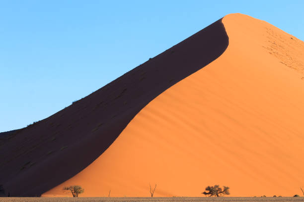 istock Dune 45, Namib desert landmark 2155884157